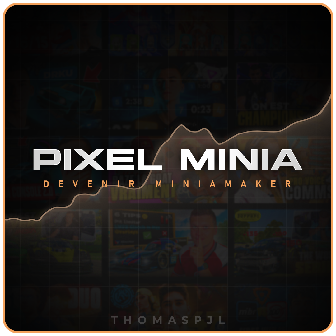 Présentation du serveur Discord Pixel Minia